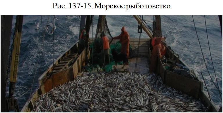 19-4. МЕСТО И РОЛЬ РЫБОЛОВСТВА В СТРУКТУРЕ МИРОВОГО ХОЗЯЙСТВА: Общая ...